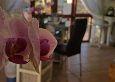 An Xclusive-Image Beauty Salon Room